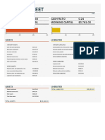 Accounting Reports - Balance Sheet1