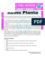 Ficha-Reino-Planta-para-Quinto-de-Primaria