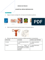 Ciencias Fundacion