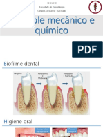Controle mecânico e químico da placa dental