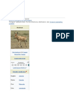 Hartebeest: Jump To Navigation Jump To Search