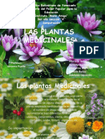 Las Plantas Nacionales