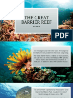 Explore the Largest Coral Reef in the World - The Great Barrier Reef of Australia