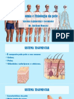 Anatomia e Fisiologia da pele PDF