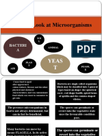 A Quick Look at Microorganisms