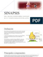 SINAPSIS