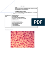 Rubrik Swab Uretra