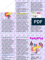 El Pancrea