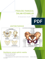 Panggul Wanita Dalam Kehamilan Dan Ukurannya