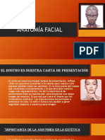 Anatomía facial: músculos y estructuras clave