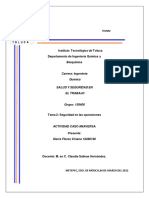 Caso ANAVERSA-Sierra Flores