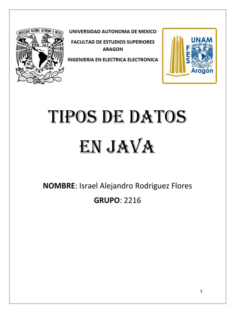 Tipos de Datos en Java | PDF
