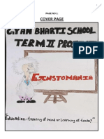 English Project Term 2 - 'Einstomania' (Group No. 7) - Soft