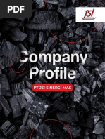 Company Profile 3 March 2021