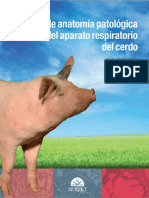 atlas de anatomia patologica del aparato respiratorio del cerdo