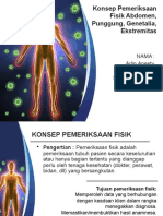 Konsep Pemeriksaan Fisik Abdomen, Punggung, Genetalia, Ekstremitas