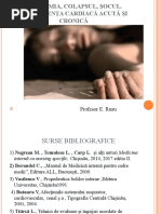 insuficienta vasculara — копия