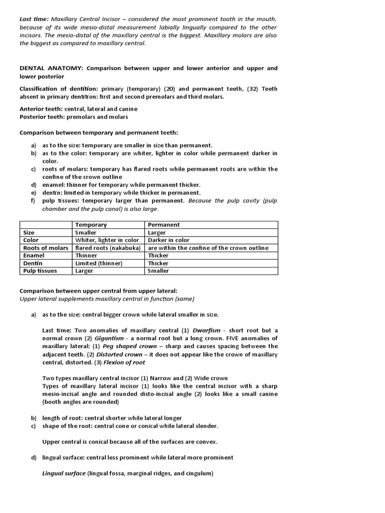 Dental Anatomy Comparison Between Upper and Lower Anterior and Upper