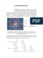 DNA Methylation and Gene Expression