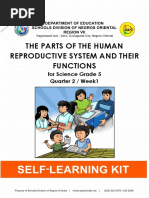 The Parts of The Human Reproductive System and Their Functions