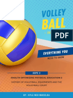 Volleyball Infographic
