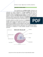 Biología-3año-TP4