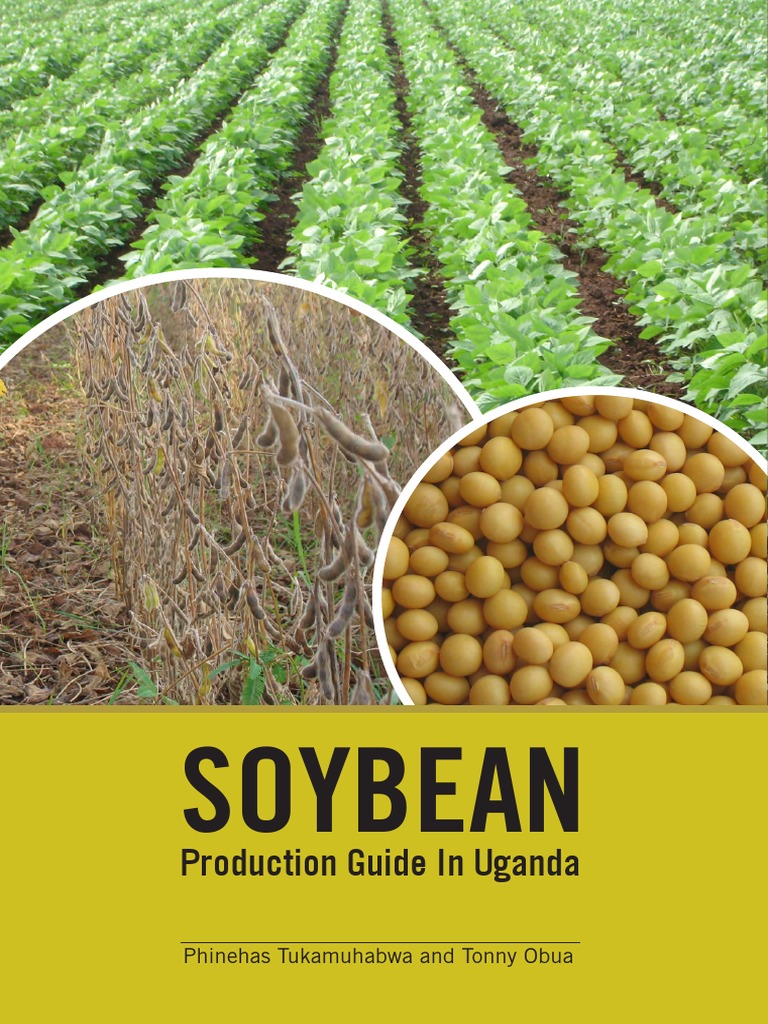 Soybean Growers Guide Uganda Compressed | PDF