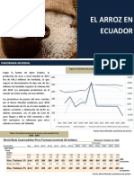 Analisis Arroz Ecuador