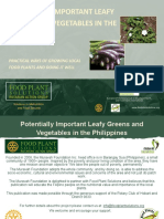 Potentially Important Leafy Greens and Vegetables in the Philippines