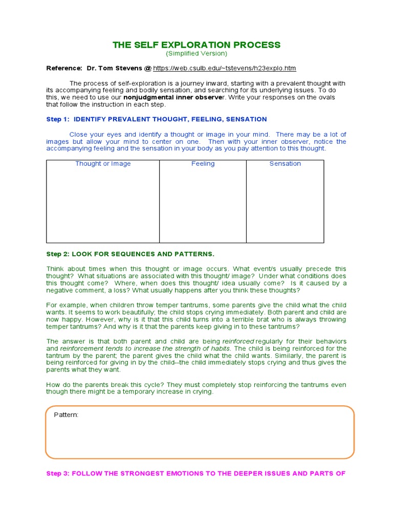 Self-Exploration Process Guide | PDF | Thought | Feeling