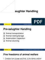 5 Pre Slaughter Handling