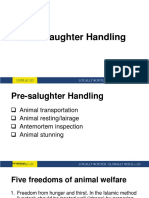 Pre-Slaughter Handling Steps