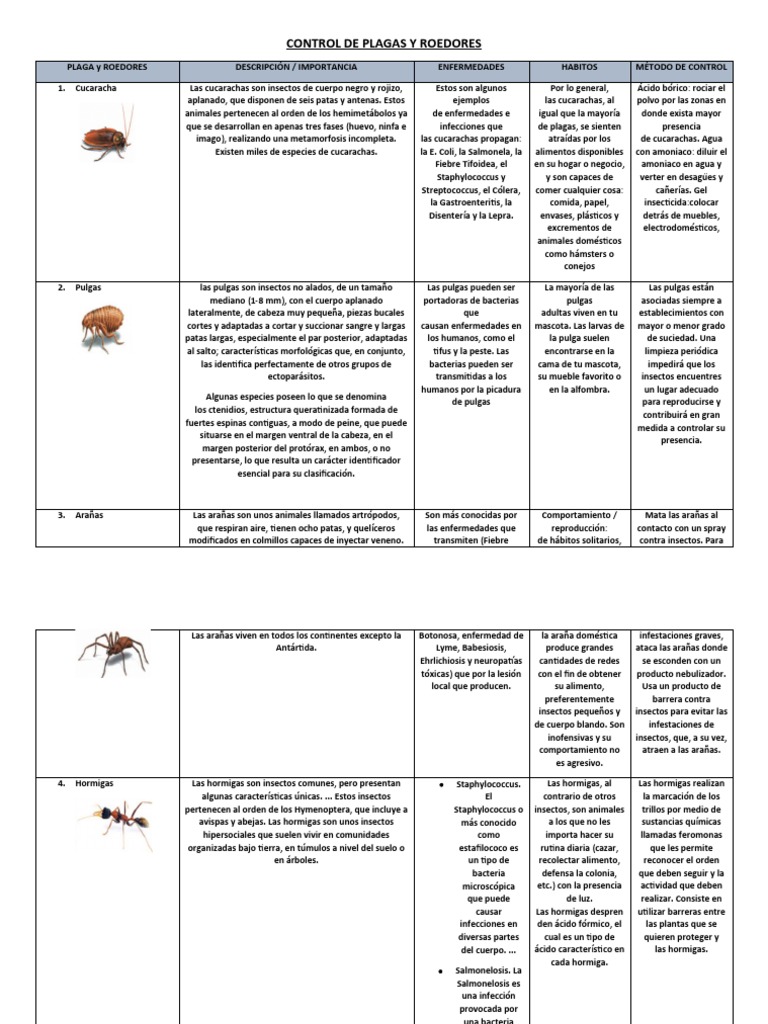 CUADRO CONTROL DE PLAGAS Y ROEDORES David Suarez | PDF | Insectos | Hormiga