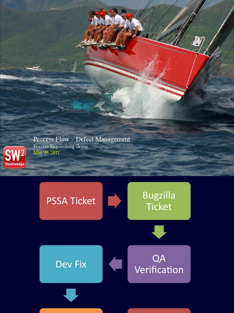 Process Flow - Defect Management | PDF | Information Age | Systems ...