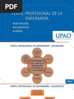 Perfil Profesional de La Enfermeria