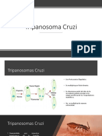 Chagas PDF