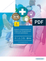Experto Universitario en Urgencias Hospitalarias y Extrahospitalarias WEB