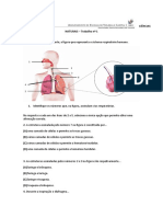 Ficha de trabalho 1 (1)