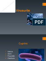 Virusurile PPT