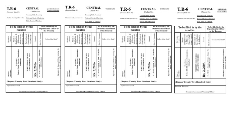 Css Challan Form 2022 | PDF | United States Department Of The Treasury ...