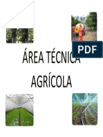 ÁREA TÉCNICA AGRÍCOLA