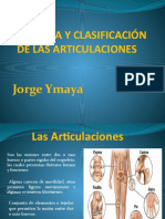 Anatomía y clasificación de las articulaciones