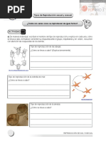 BIOLOGI A II 2020 1 Planeaciones PDF 14 15