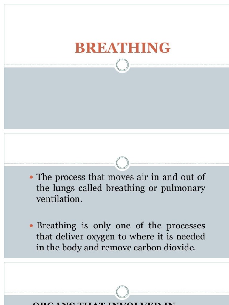Breathing Notes PDF Breathing Lung