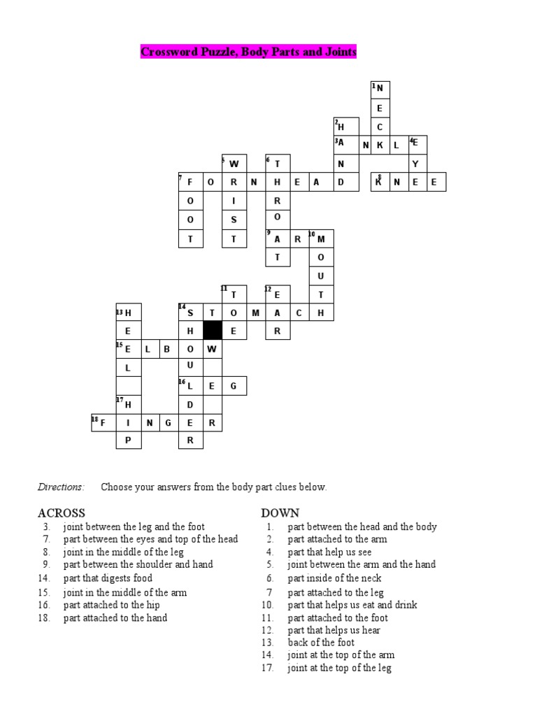 Crossword Puzzle, Body Parts and Joints Across Down PDF