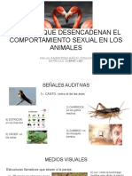 Señales Que Desencadenan El Comportamiento Sexual en Los Animales