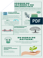 Bosque de Arrayanes y Su Problematica