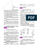 Juegos cooperativos con pelotas para desarrollar habilidades motoras