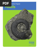 Download Fossils FIN HR by Jessica Shakir SN56367593 doc pdf