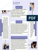 Simple Purple Key Concept Map Graphic Organizer